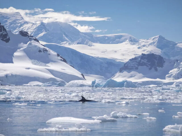 chilean fjords and antarctica cruise