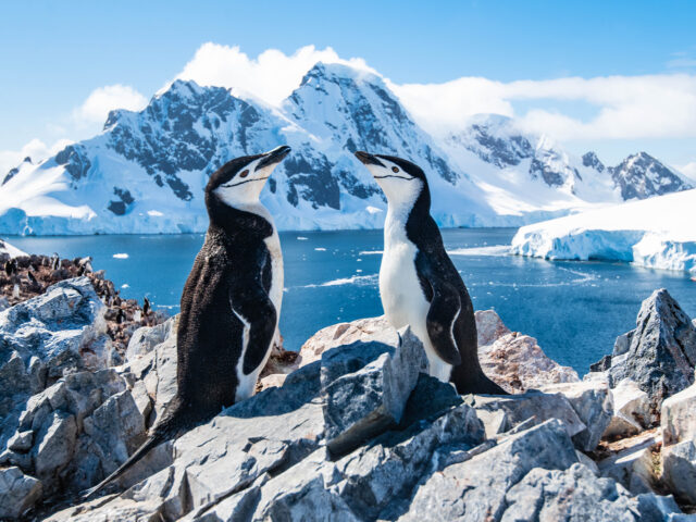 antarctica cruise with helicopter