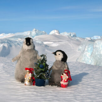 Pichones de pingüino con adornos navideños